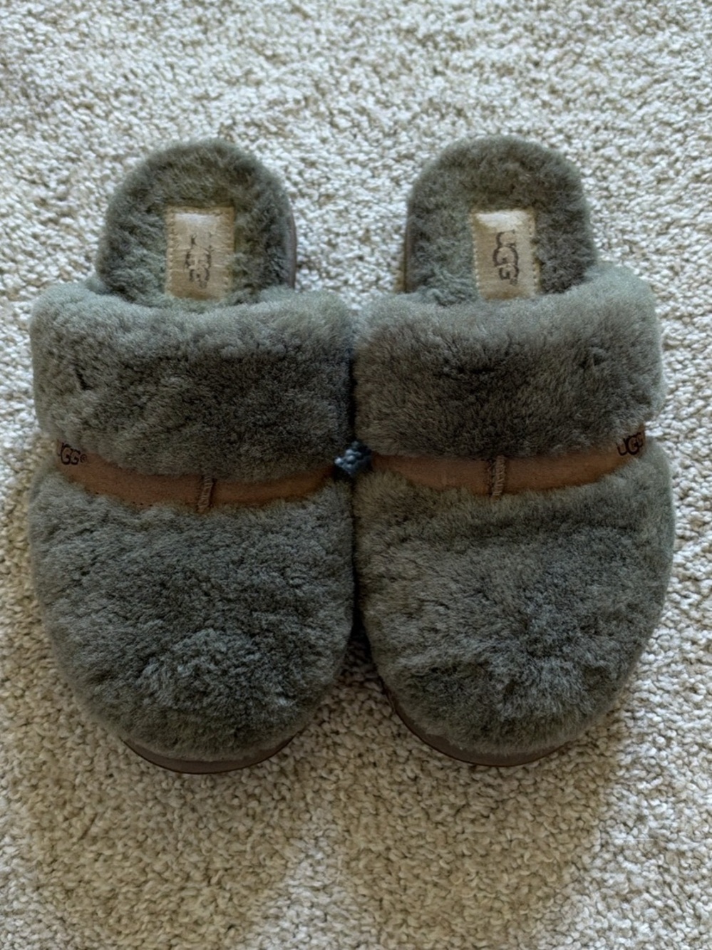 UGG Women's Plush Shearling Clog Slippers in Olive